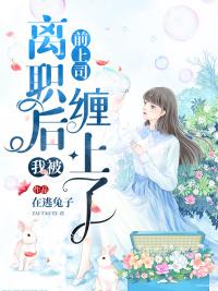 宋襄嚴(yán)厲寒的小說封面