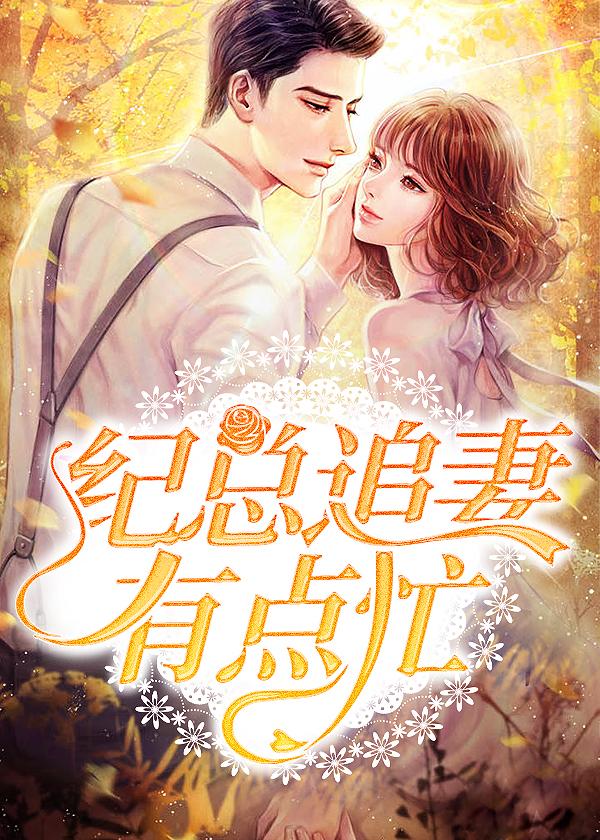 紀(jì)總追妻有點(diǎn)忙封面